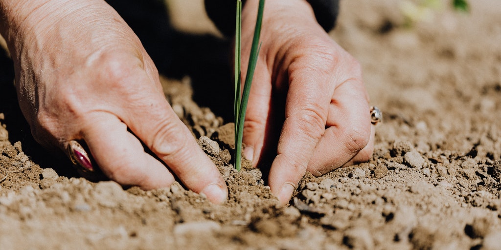 Цитаты и афоризмы про ответственность за свои поступки